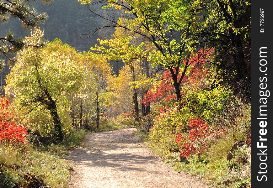 A path in the wilderness in autumn. A path in the wilderness in autumn.
