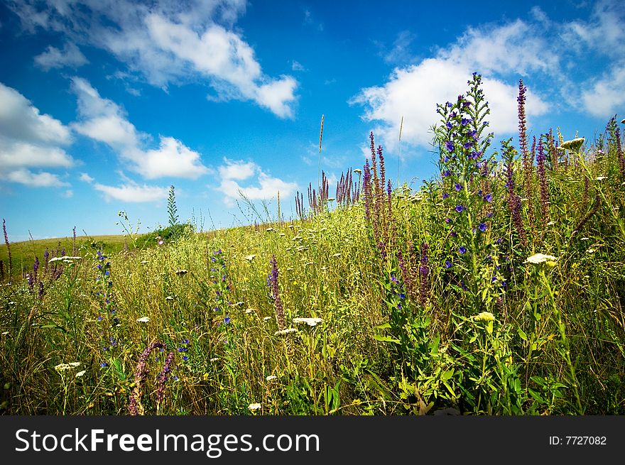 Background of cloudy sky and grass