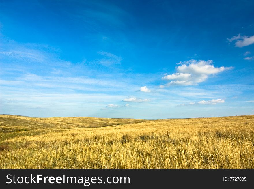 Summer landscape with dark blue sky. Summer landscape with dark blue sky