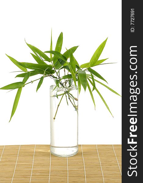 Green bamboo in Vase on mat