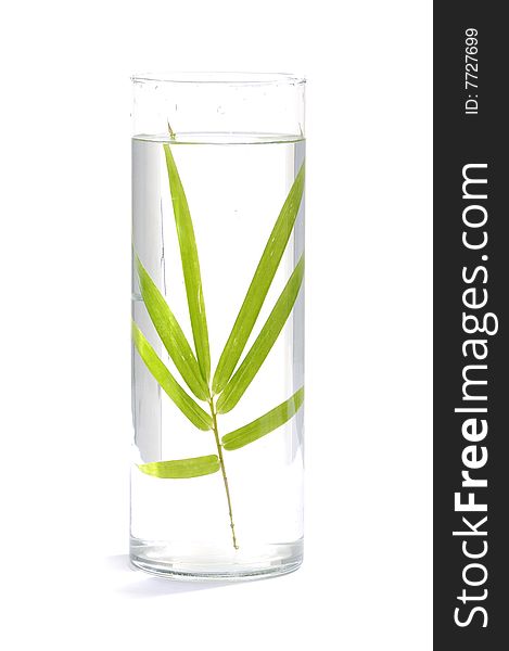 Green bamboo in Vase on mat