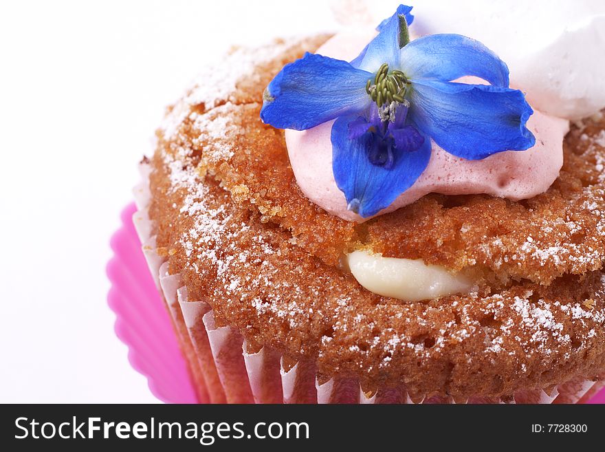 Miniature cupcake filled with lemon cream and decorated with meringue and blue flower on white background. Miniature cupcake filled with lemon cream and decorated with meringue and blue flower on white background