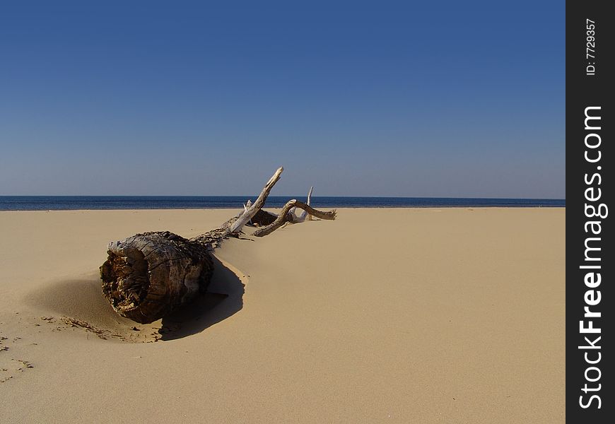 A beam and sea. Baltic seaside.