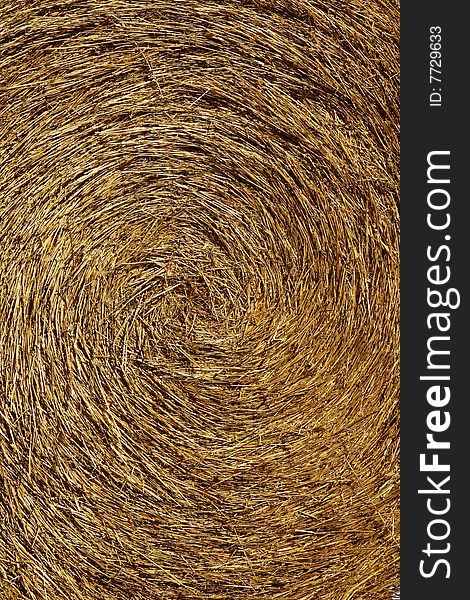 Yellow straw round bale, macro texture golden background