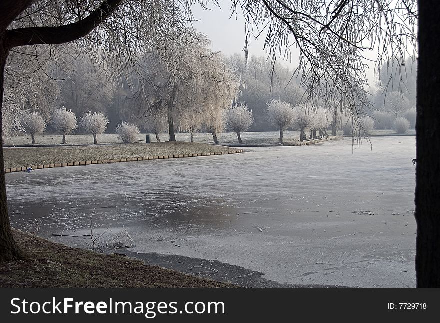 Ice trees and ice on river in winter holland