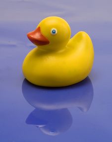 Rubber Duck Royalty Free Stock Photography Rubber Duck Royalty Free Stock Photography