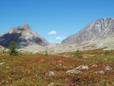 Tundra And Mountains Royalty Free Stock Images