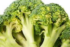 Green Broccoli (brassica Oleracea) Royalty Free Stock Image Green Broccoli (brassica Oleracea) Royalty Free Stock Image