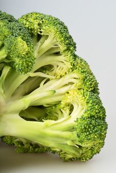Green Broccoli (brassica Oleracea) Royalty Free Stock Images Green Broccoli (brassica Oleracea) Royalty Free Stock Images
