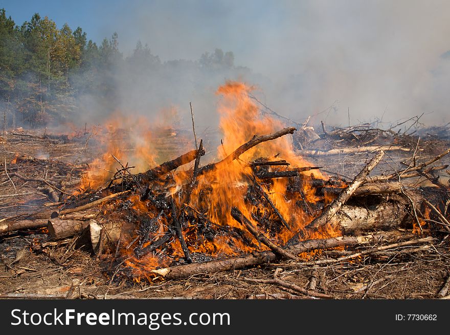 Burning pile of tree limbs, during a prescribed fire burn, left over from an industrial logging operation,  North Carolina, October, 2008. Burning pile of tree limbs, during a prescribed fire burn, left over from an industrial logging operation,  North Carolina, October, 2008