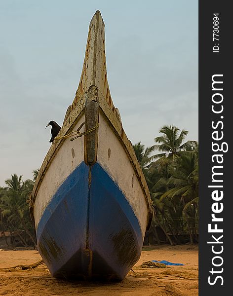 Crow On Boat