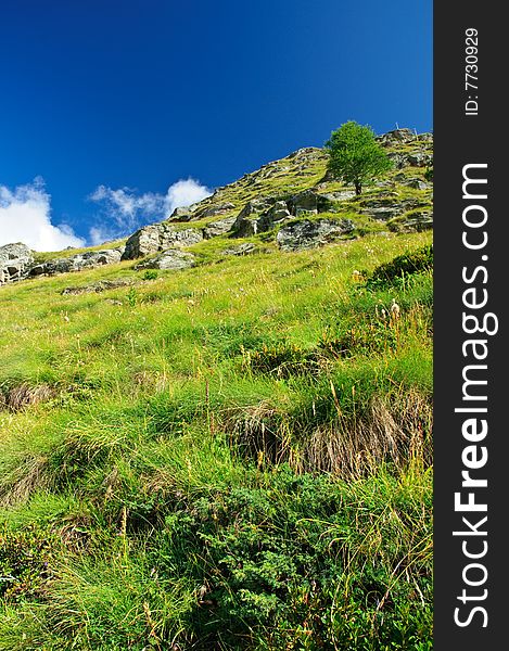 An alps on the Swiss mountains in summer. An alps on the Swiss mountains in summer