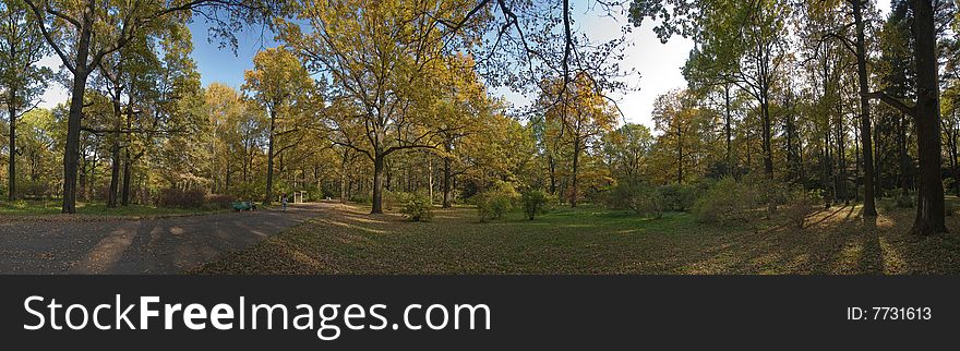 Autumnal panorama, Indian summer with oaks, birches and dark pines
