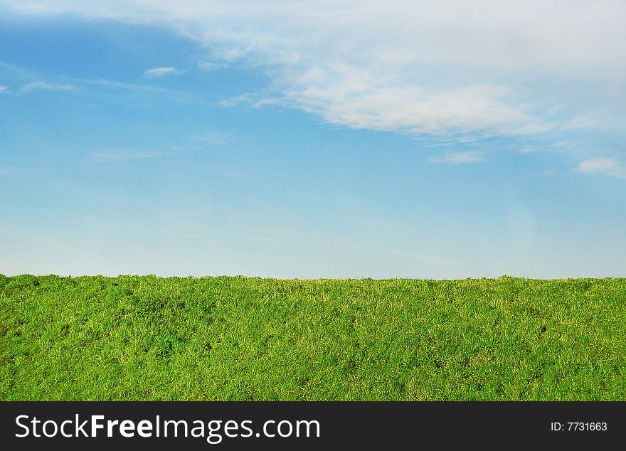 Grass and sky as a background.