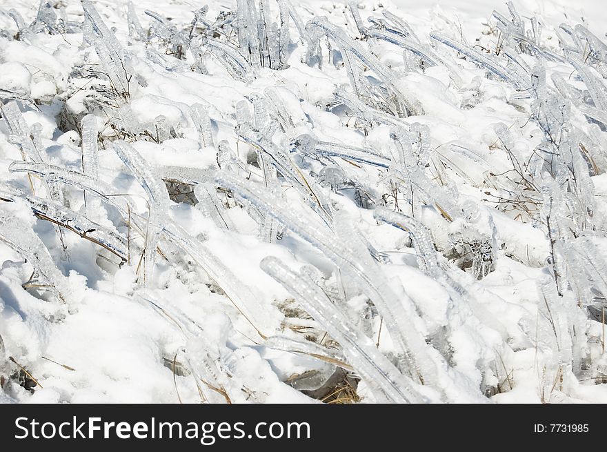 Iced frozen grass as background