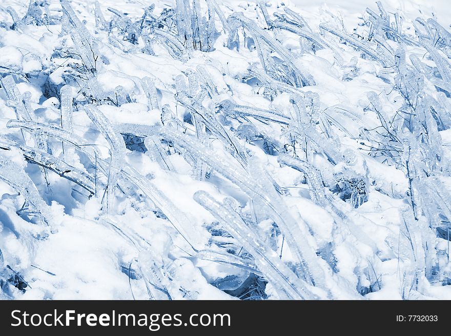 Iced frozen grass as background