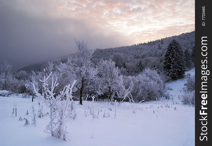 Sun Beating Fog