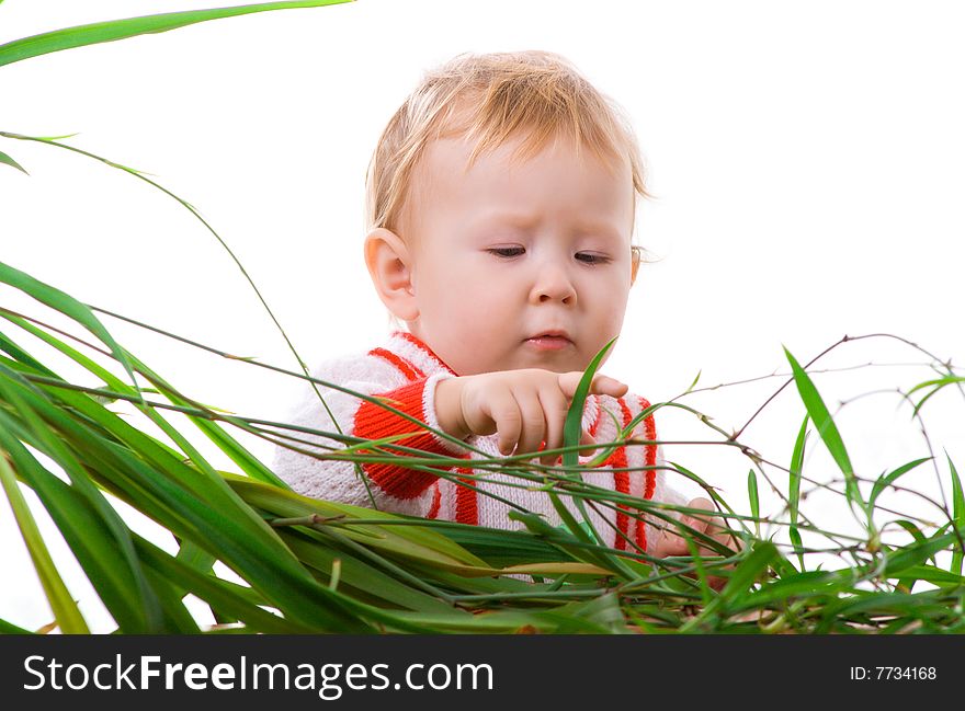 A kid professes interest to the leaves of plant