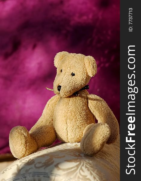 Small soft toy bear sitting on home furnishings. Small soft toy bear sitting on home furnishings