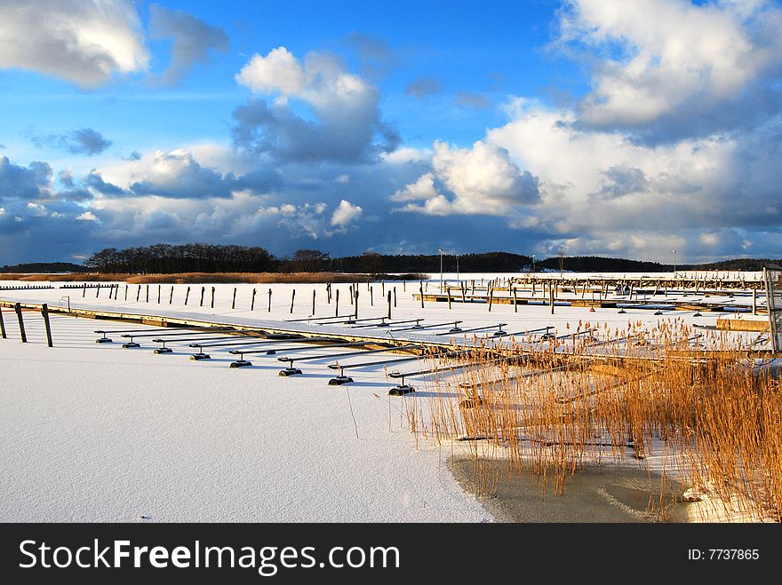 Frozen Buoys