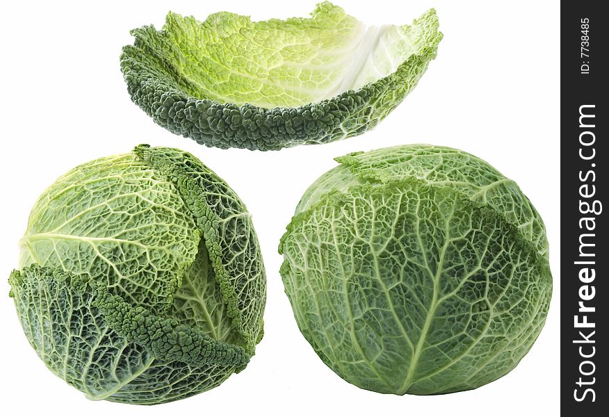Savoy Cabbage Isolated