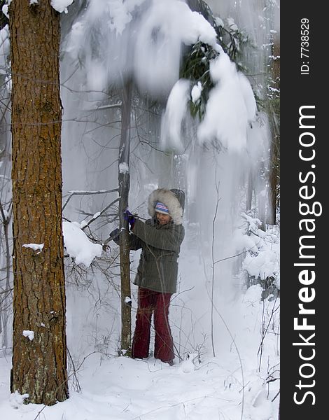 The Girl And Snow