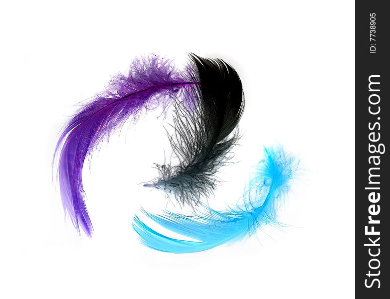 Feathers On White