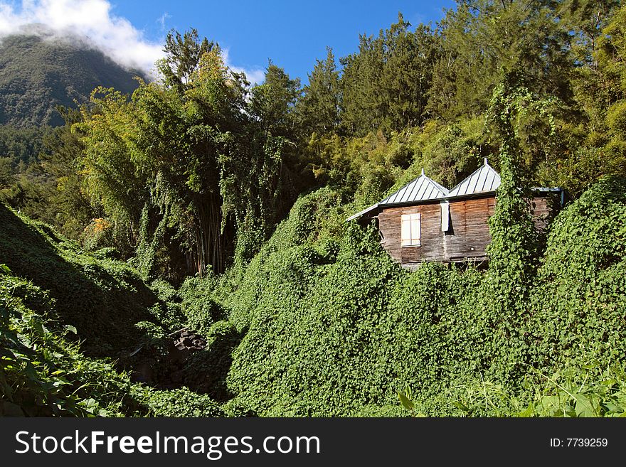 Abandoned wooden house, Salazie caldera, Hell-Bourg, Reunion island. Abandoned wooden house, Salazie caldera, Hell-Bourg, Reunion island