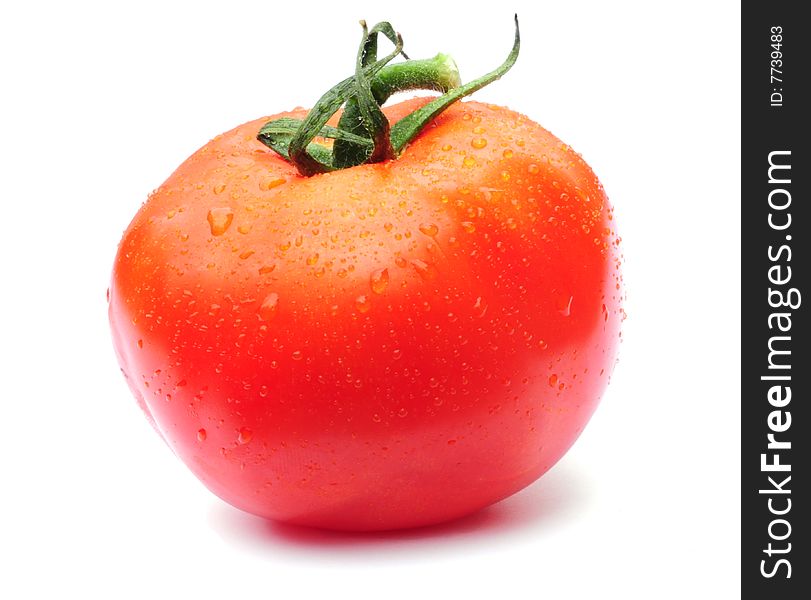 Shot of a freshly washed homegrown tomato. Shot of a freshly washed homegrown tomato