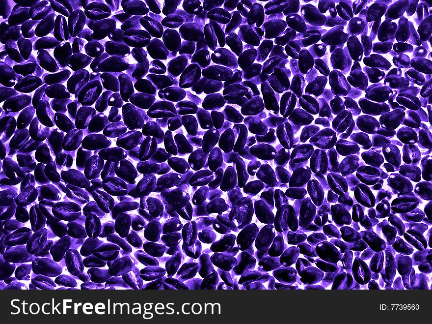Violet background with wheat grains