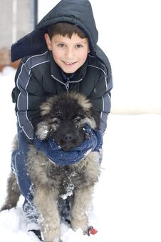 Boy And Dog Royalty Free Stock Photo