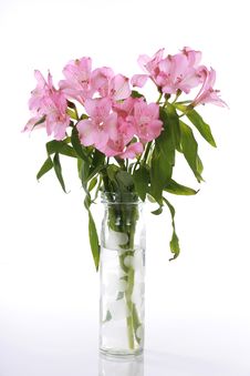 Vase Of Pink Lilies Stock Image Vase Of Pink Lilies Stock Image