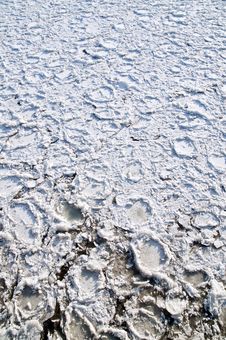 Ice Floes Royalty Free Stock Photo