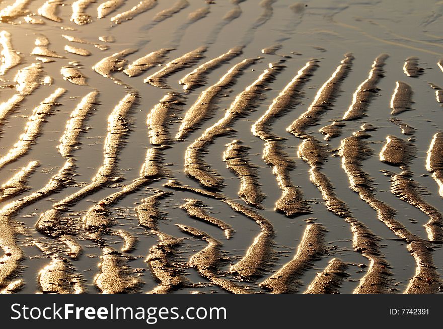 Sand is shaped by the water and lit by the setting sun. Sand is shaped by the water and lit by the setting sun