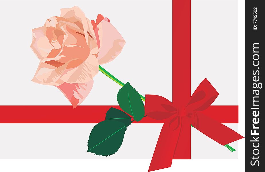Rose in a gift with a bow from a red tape