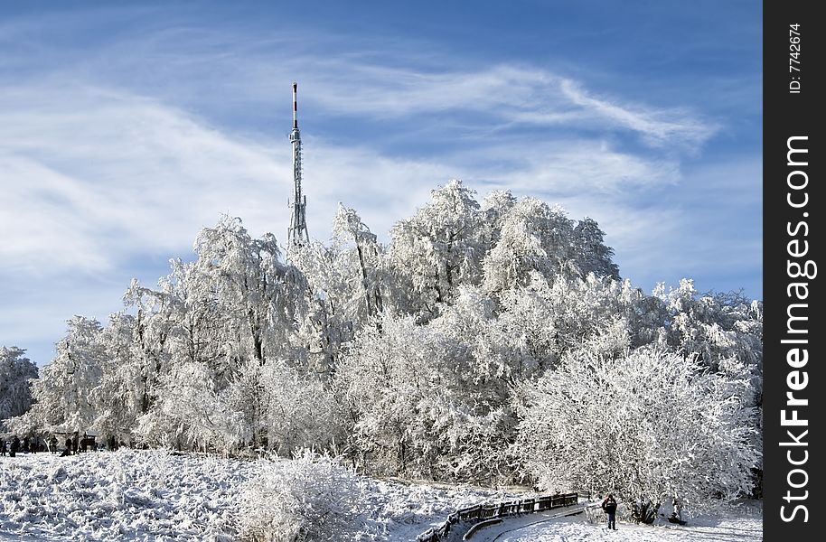 Winter landscape with tower and trees