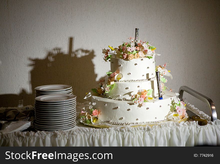 Cake of bride and groom