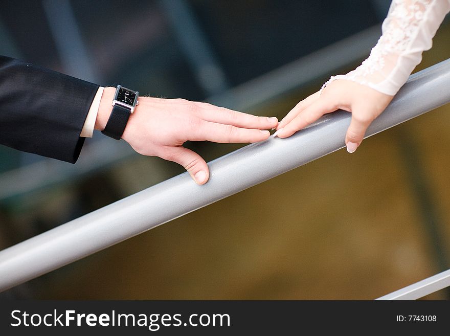 Hands of bride and groom. Hands of bride and groom