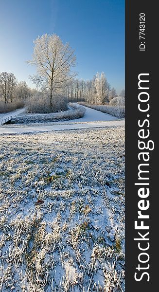 Vertical panorama of a winter landscape