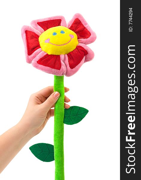 Toy flower in hand isolated on white background