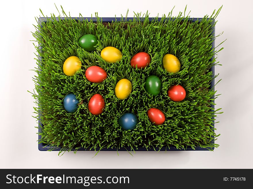 Yellow, red, blue and blue Easter Eggs in Grass