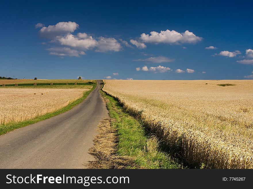 Rural Scene On Summer Day