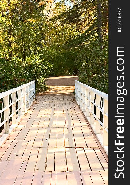 Park bridge background for your design