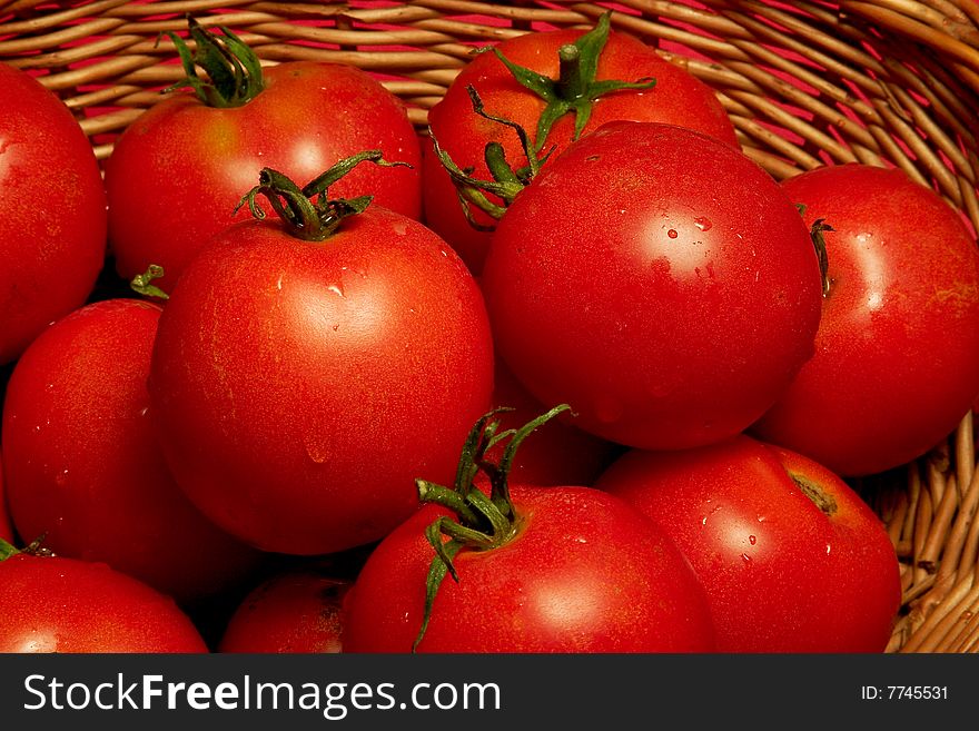 Basket of freshly picked tomatoes. Basket of freshly picked tomatoes