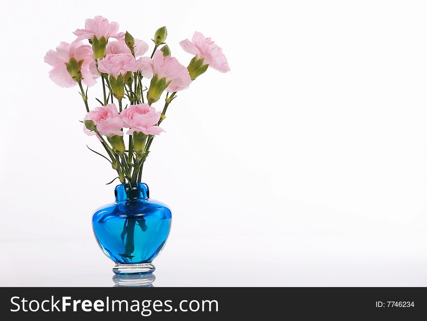 Pink carnations in blue vase with soft reflection