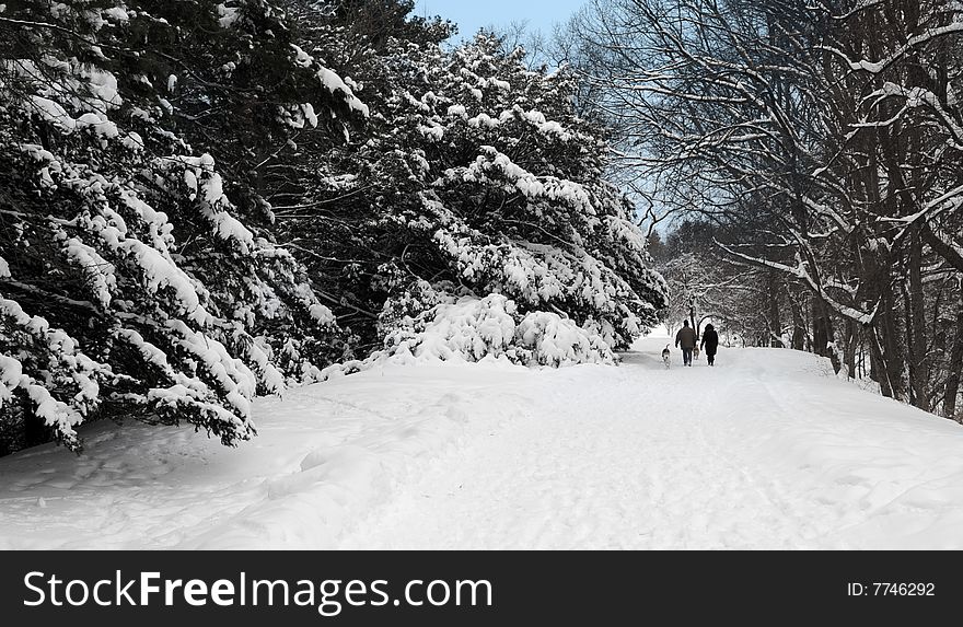 A distand couple walking their dogs in a winter wonderland. A distand couple walking their dogs in a winter wonderland.