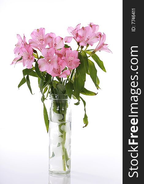 Vase of pink lilies isolated on white