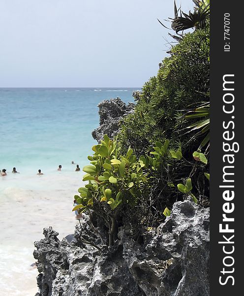 A group of swimmer enjoy the Caribbean waters, focus on cliff with some tropical vegetation. A group of swimmer enjoy the Caribbean waters, focus on cliff with some tropical vegetation