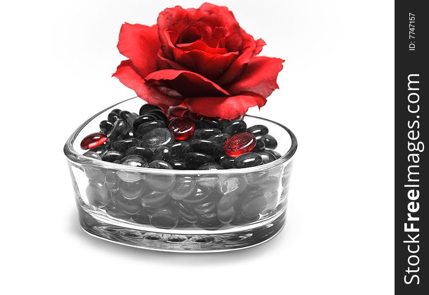 Red Rose and black gems on white background