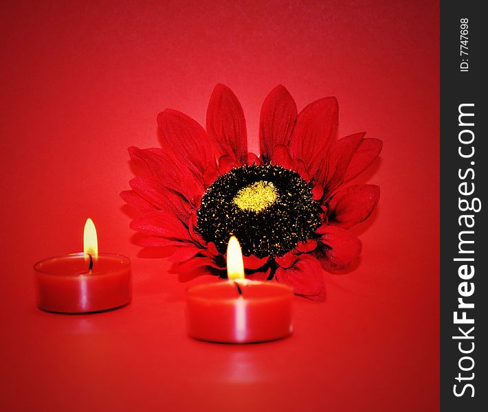 Sunflower and two candles on red background. Sunflower and two candles on red background